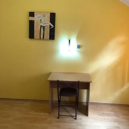 Pensiunea Haus Paltinul *