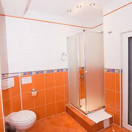 Pensiunea Haus Paltinul * Sibiu